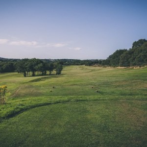 Hole 8